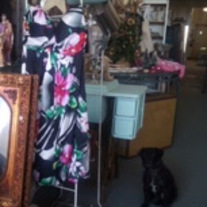 Cache Silk Dress NWOT 4 Strapless